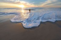 18 Surf Blogs for Surfers and Water Sports Enthusiasts - BookSurfCamps.com