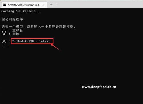 DeepFaceLab3：白嫖模型如何使用？