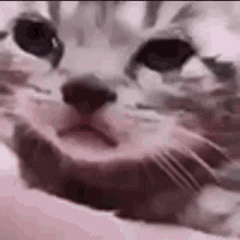 spacer.png