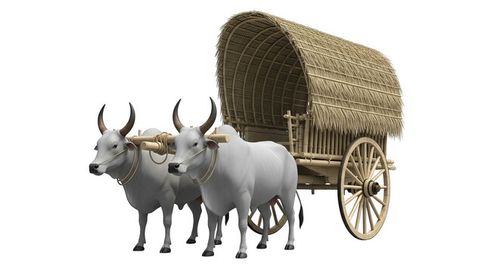 Traditional Indian Bullock Cart With Two White Oxen