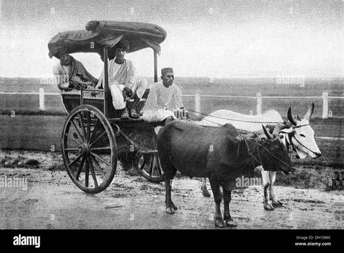 Old vintage photo of rekla bullock cart Mumbai Maharashtra India - Stock Image