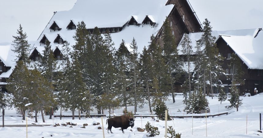 Old Faithful Inn Winter