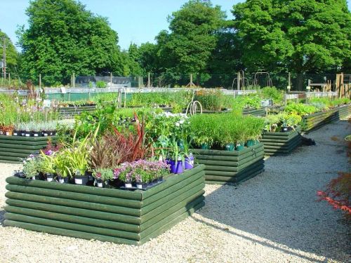 Applegarth Nurseries