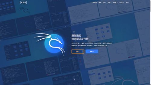 Kali系统 轻量版 + bochs 程序下载!-零度博客