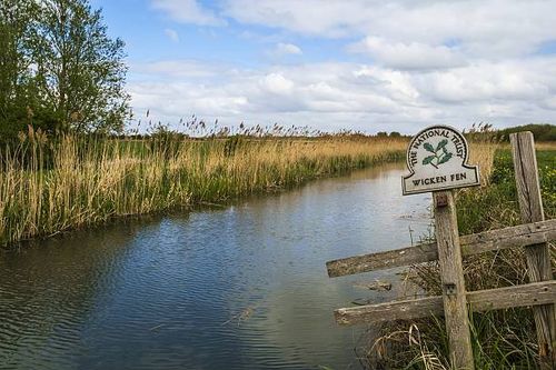 Wicken Fen Nature Reserve
