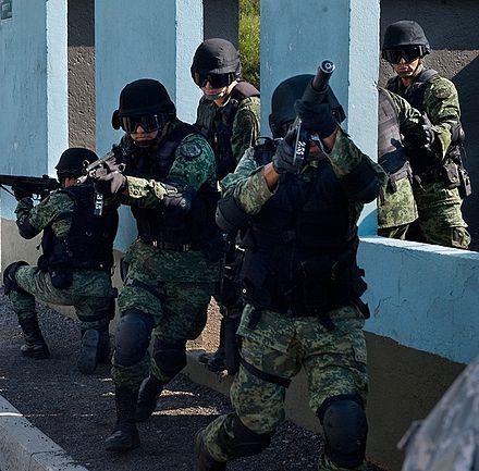 Mexican drug war - Wikipedia