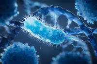 Magnetic Bacterium Extends Lifespan by 43% in Surprising Anti-Aging Study - SciTechDaily