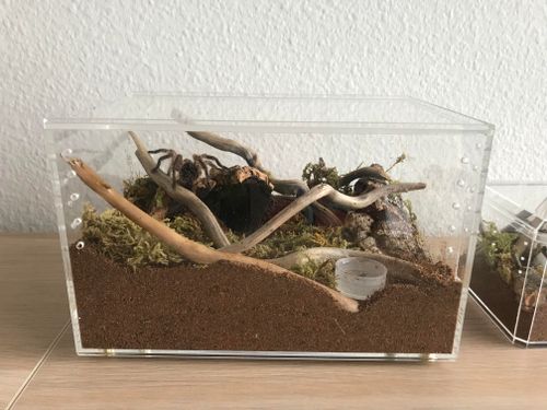 r/tarantulas - Got this acrylic display case from ikea. It’s got a top that slides out, and holes drill very easily.