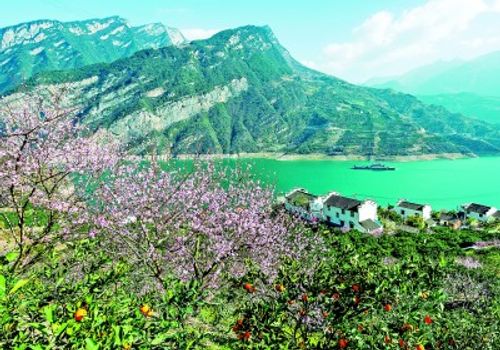 春光正好，乡村旅游提质升级再出发