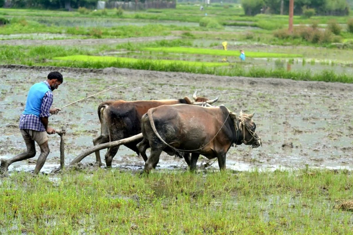 Get e-KYC done by July 31 for PM Kisan Yojana, otherwise the next installment may stop