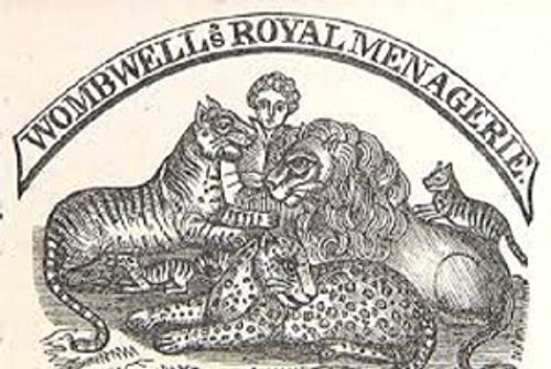 wombwell 6666