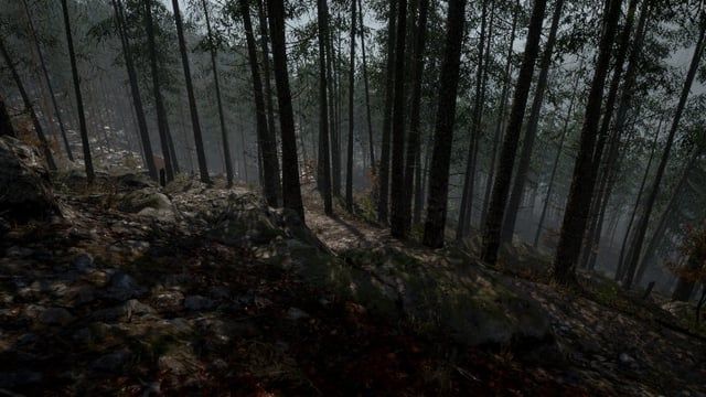 A view of a dense forest in the Hill 400 map.