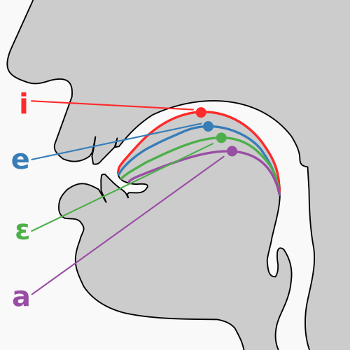 cardinal vowel tongue position front