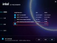 r/IntelArc - What is the last unnamed option in the driver?
