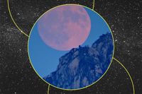 All About April's New Moon and What It Means for Your Zodiac Sign