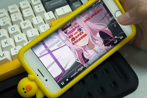 Fu Xiaofan/Sixth Tone