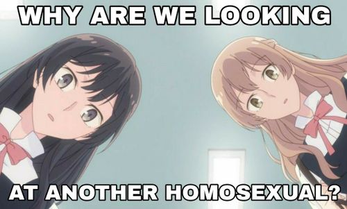 Yuri Meme, Bloom Into You Fanart, Bloom Into You, Bloom Into You Memes, Gf Memes, Gay Memes, You Meme, Yuri Anime, Wholesome Memes