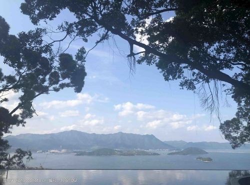 香港大学港中文天人合一