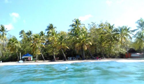 Les Salines Waterfall