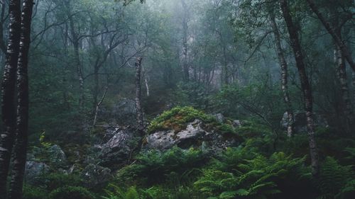 Death in Ice Valley - New Lead in Isdal Woman Case Points to Swiss Banker