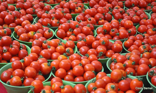 Tomatoes And Pepper