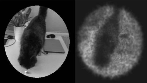 New research from the University of Washington created a computational model that simulated a wide range of human cortical studies. The image on the left was generated using 45,000 pixels. The one on the right — representative of high-resolution cortical implants like Elon Musk’s Blindsight — uses 45,000 electrodes.