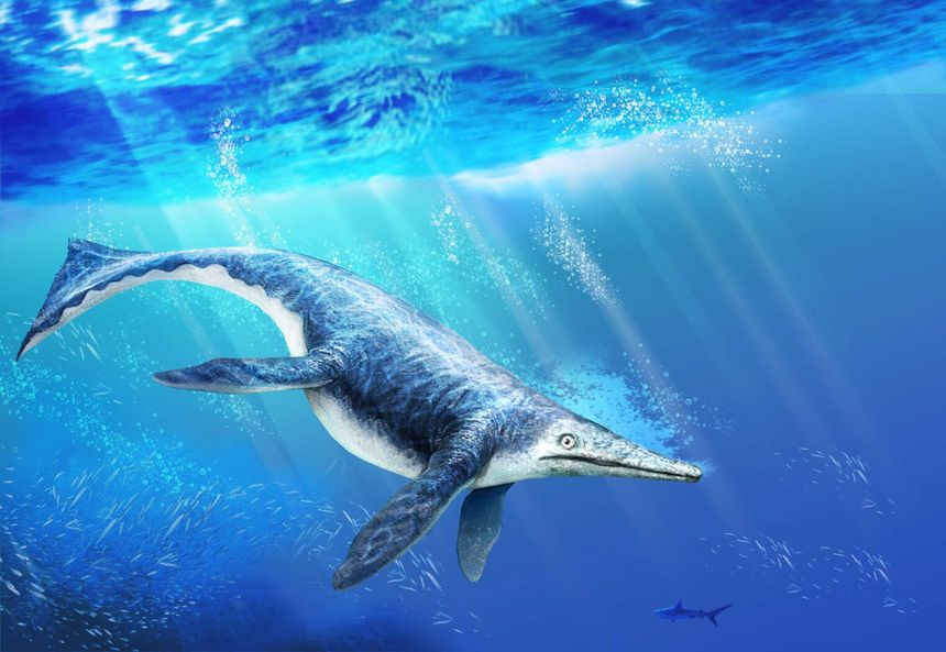 Shonisaurus