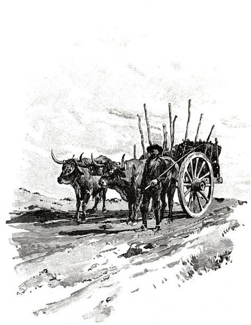 Bullock wagon in Spain Illustration from 19th century bullock cart stock illustrations