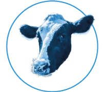 AMBONI FARM Logo