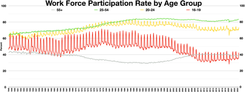 work force participation rate by age group
