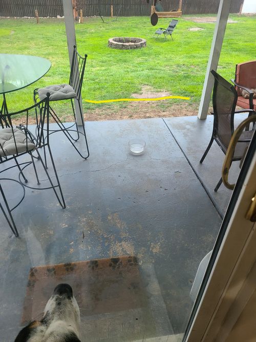 r/landscaping - Cheap ideas for spot that won't grow grass?