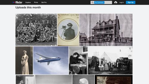 Best free public domain picture websites 13