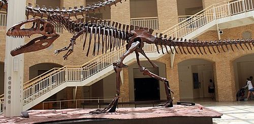 Giganotosaurus_at_Fernbank.jpg