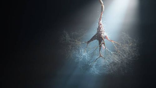 abstract neuron cell - pns stock pictures, royalty-free photos & images