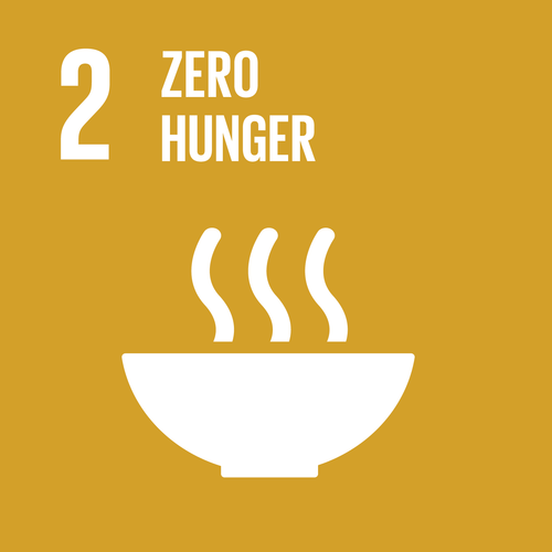 sustainable development goal 2