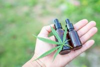 STF julga regras para fornecimento de derivados da cannabis no SUS