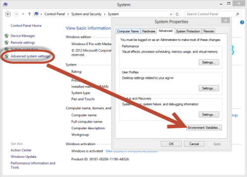 Environment variables