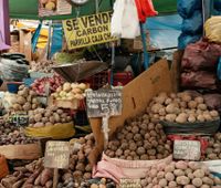 Rebuilding the Table: Fighting Food Insecurity in Peru - The Borgen Project