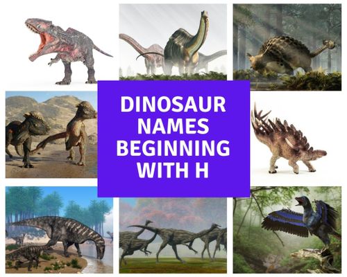 Dinosaur names beginning with H