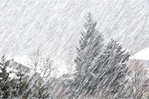 Ventisca de nieve: qué es, tipos y peligros