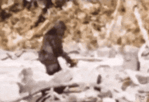 Zw.gif