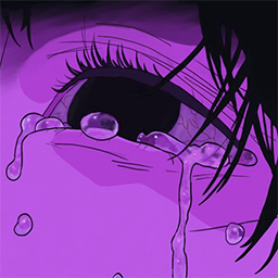 VxPrivElytra banner