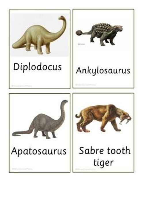four different types of dinosaurs with names