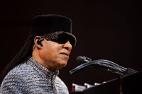 Stevie Wonder Files Lawsuit to Evict Woman Living on His Property Rent-Free for 38 Years - Rolling Stone
