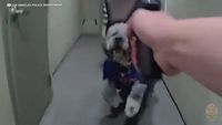 新闻配图