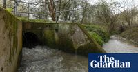 Water companies in England face outrage over record sewage discharges | Water | The Guardian