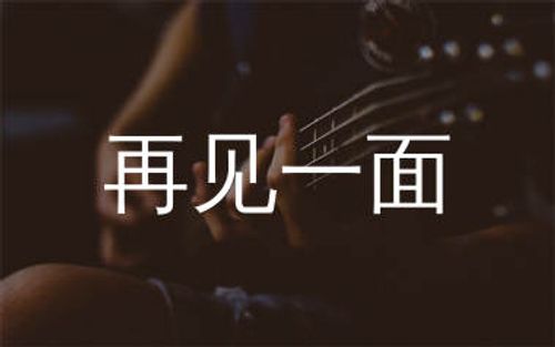 再见一面吉他谱_于文文_G调弹唱六线谱_弹手吉他上传