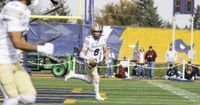 Justin Lamson airs it out, defense rises up as No. 4 Montana State hammers Northern Colorado