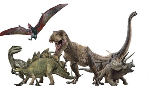 r/Dinosaurs - The most iconic dinosaurs (IMO)! Let me know if I’m missing any!