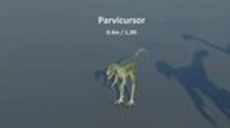 r/Damnthatsinteresting - Video I saw comparing a human to the size of many known dinosaurs